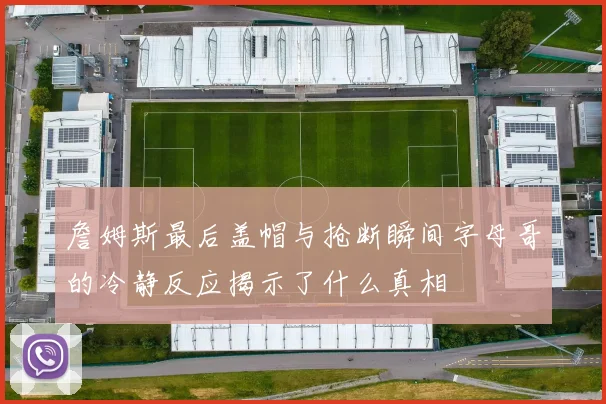 詹姆斯最后盖帽与抢断瞬间字母哥的冷静反应揭示了什么真相