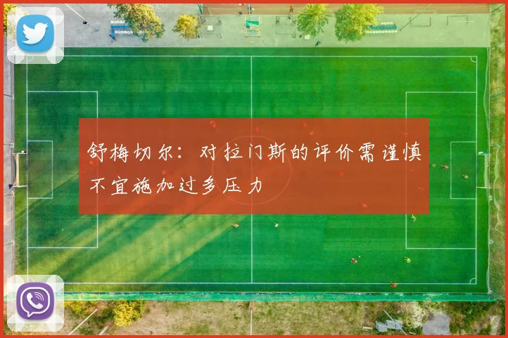 舒梅切尔：对拉门斯的评价需谨慎不宜施加过多压力