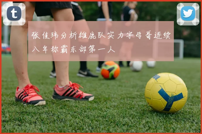 张佳玮分析雄鹿队实力字母哥连续八年称霸东部第一人