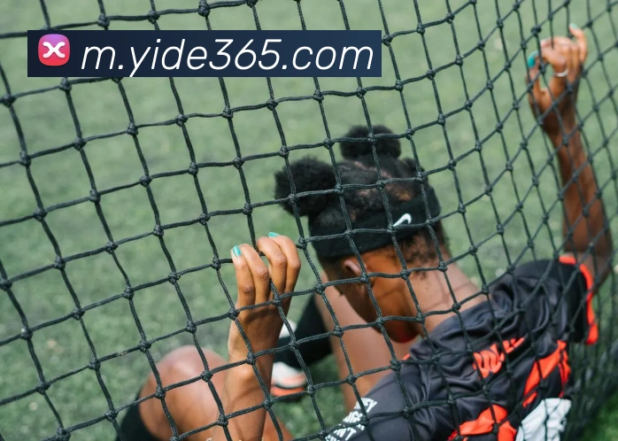 亿德体育平台生态图